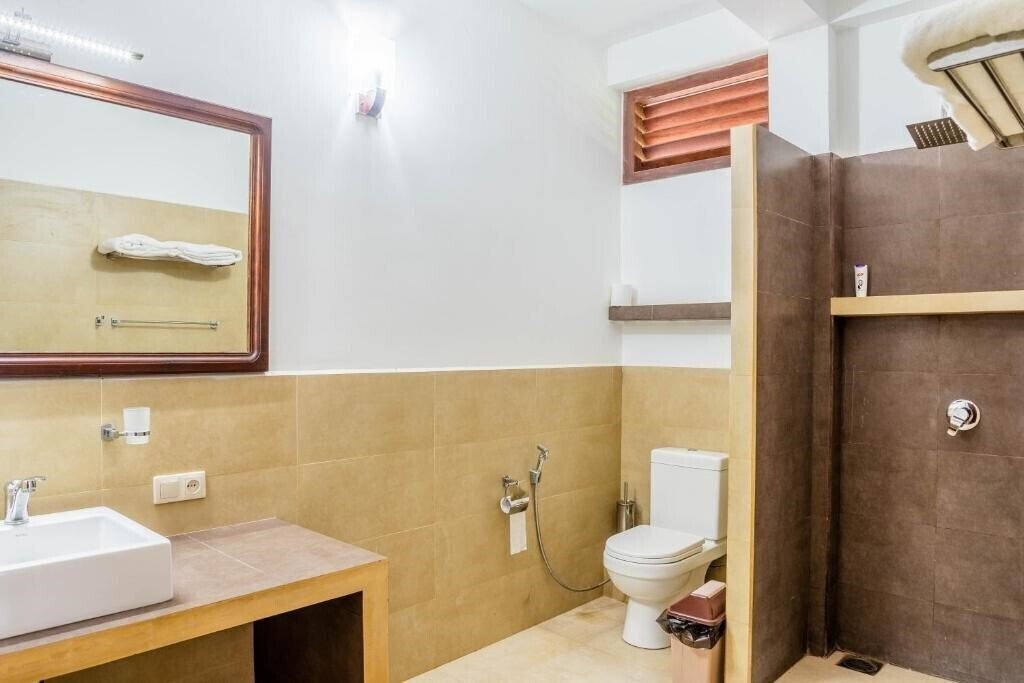 Картинка Green Parrot 4*