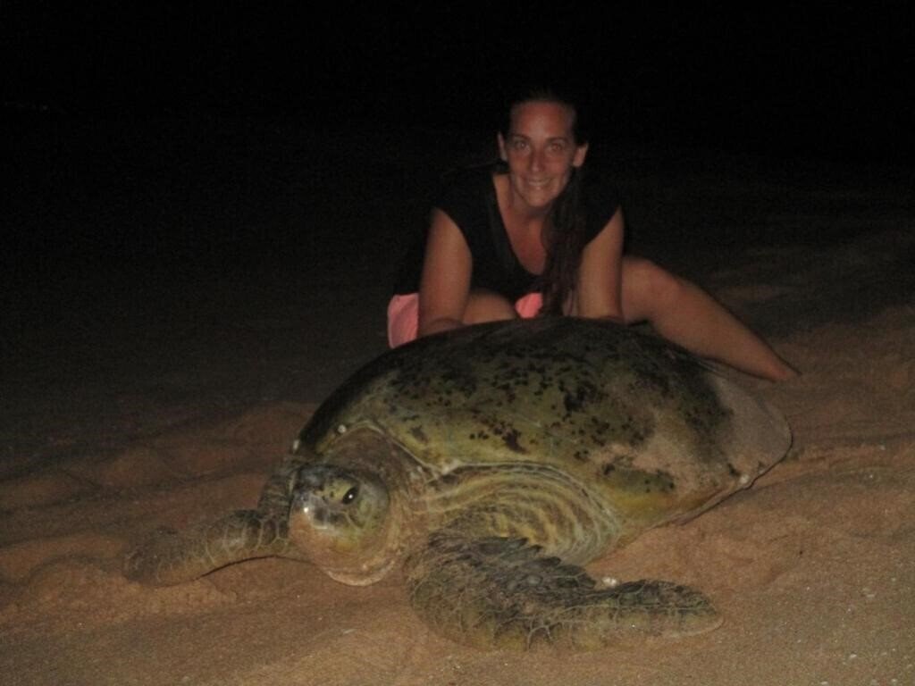 Hotel All View Resort отель без категории