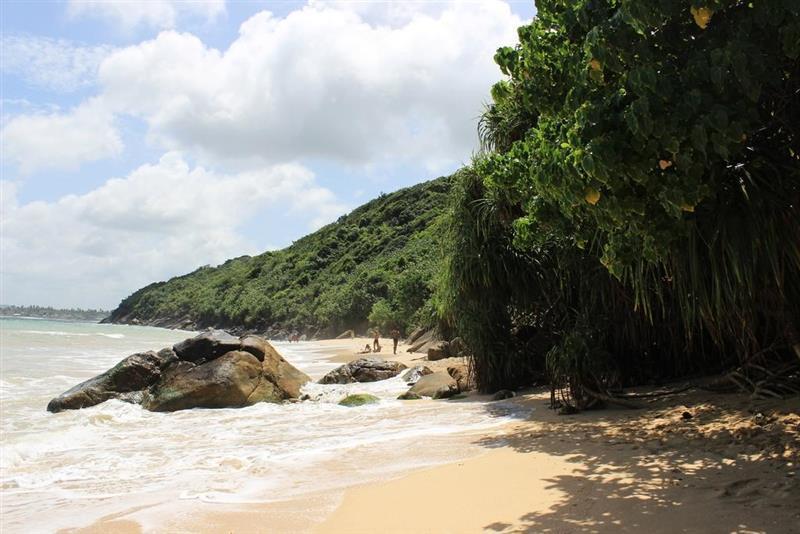 Imaginea Hotel J Unawatuna 3*