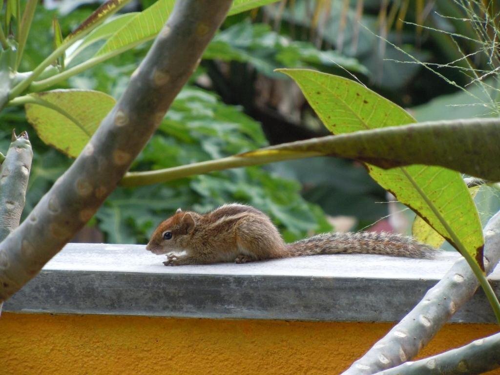 Imaginea Villa Watuna 2*