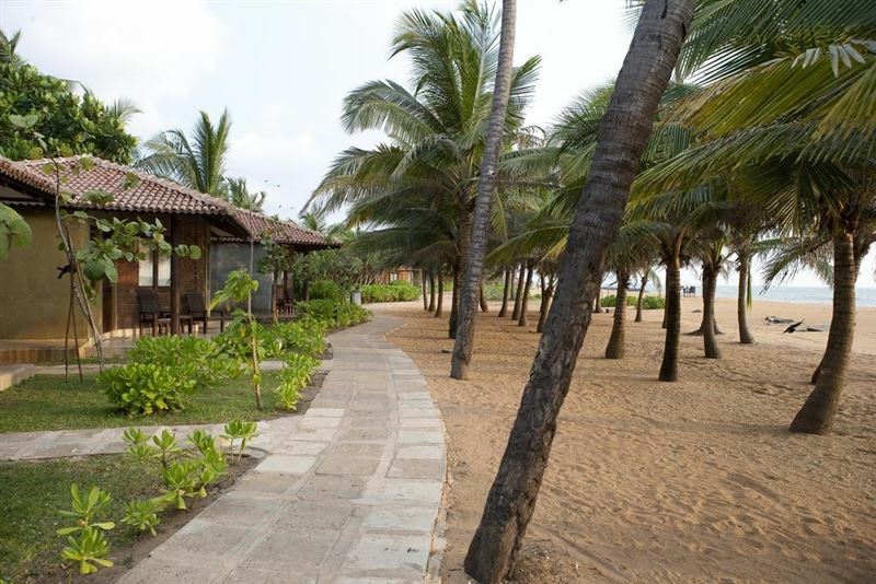 Imaginea Club Hotel Dolphin (ex. 1981/2013) 4*