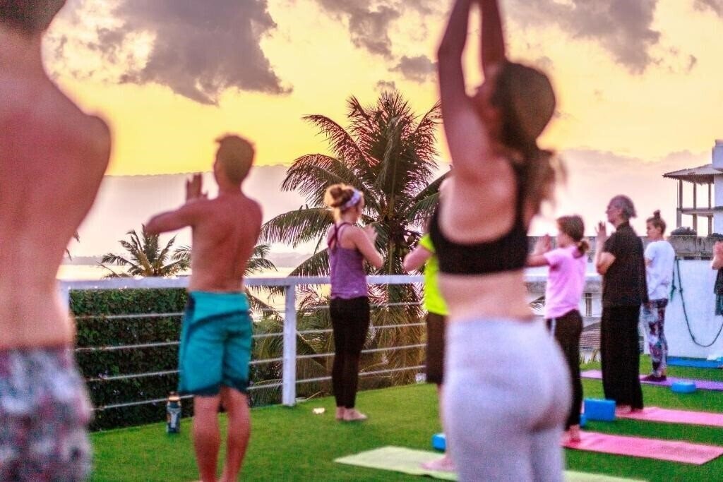 Fotografie The Surfer отель без категории