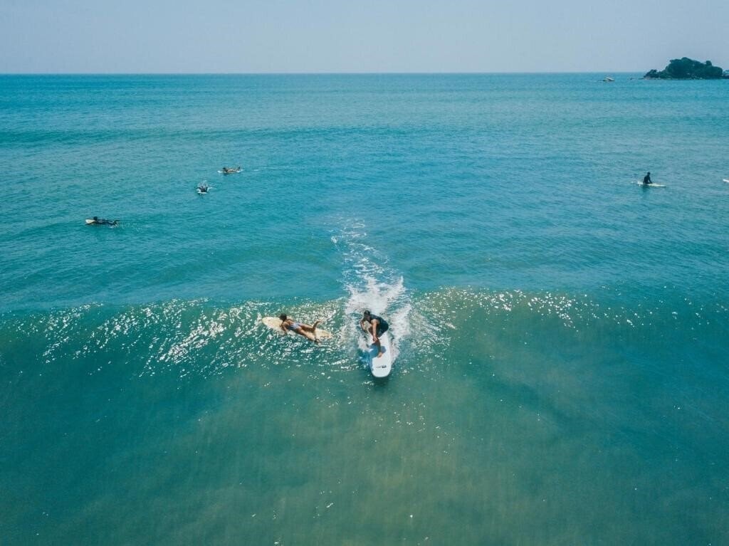 Imaginea The Surfer отель без категории