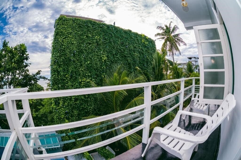 Imaginea The Surfer отель без категории