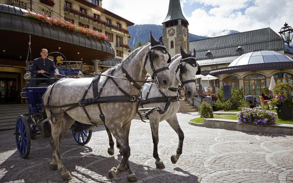 Fotografie Grand Hotel Zermatterhof 5*