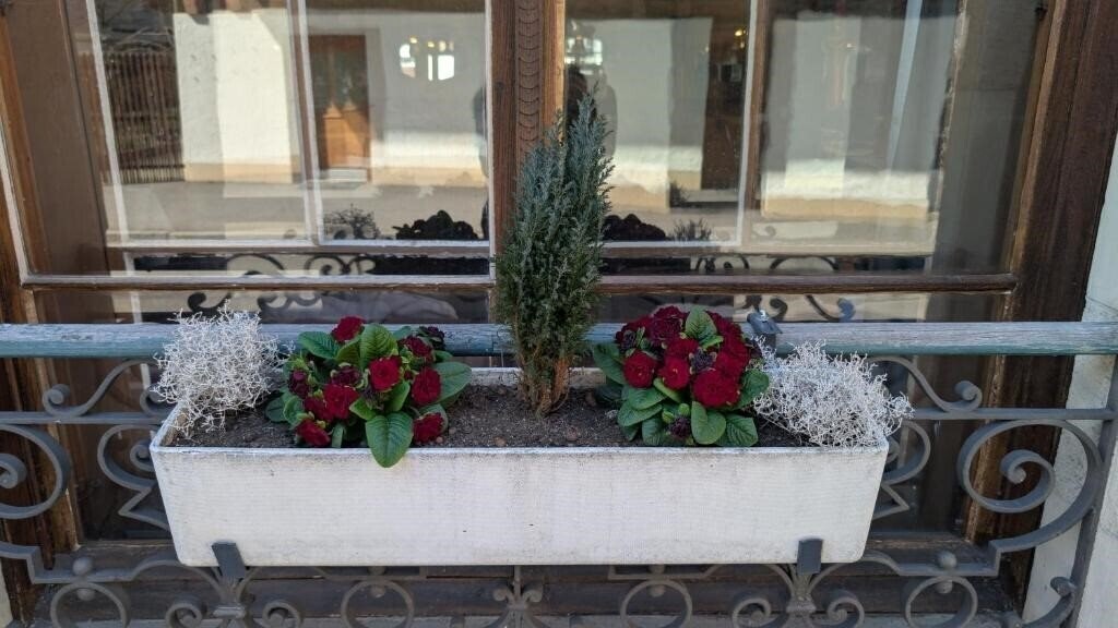 Fotografie Harder-Minerva 3*