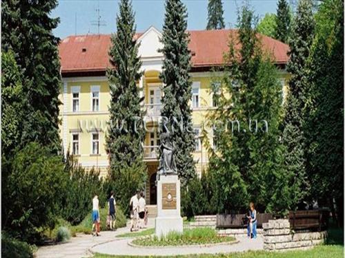 Fotografii Alzbeta 2*