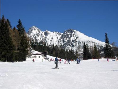 Фотография Penzion Partizan 3*