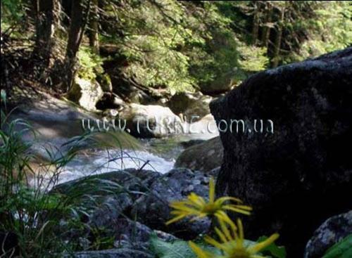 Фотография San Andre 2*