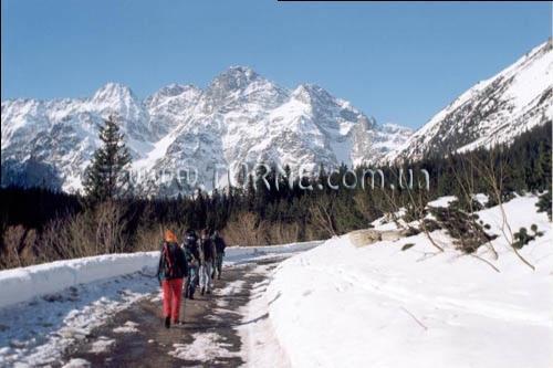 Фото San Andre 2*