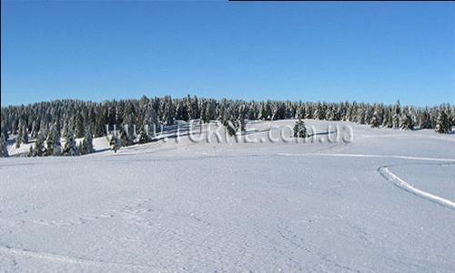 Fotografii Planja 4*