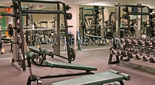 Отель Flamingo Las Vegas Hotel & Casino 3*