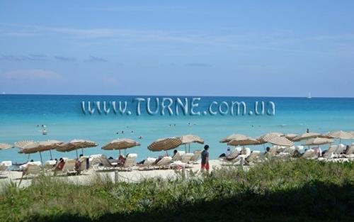 Imaginea Canyon Ranch Hotel & Spa Miami Beach, Miami Beach 4*