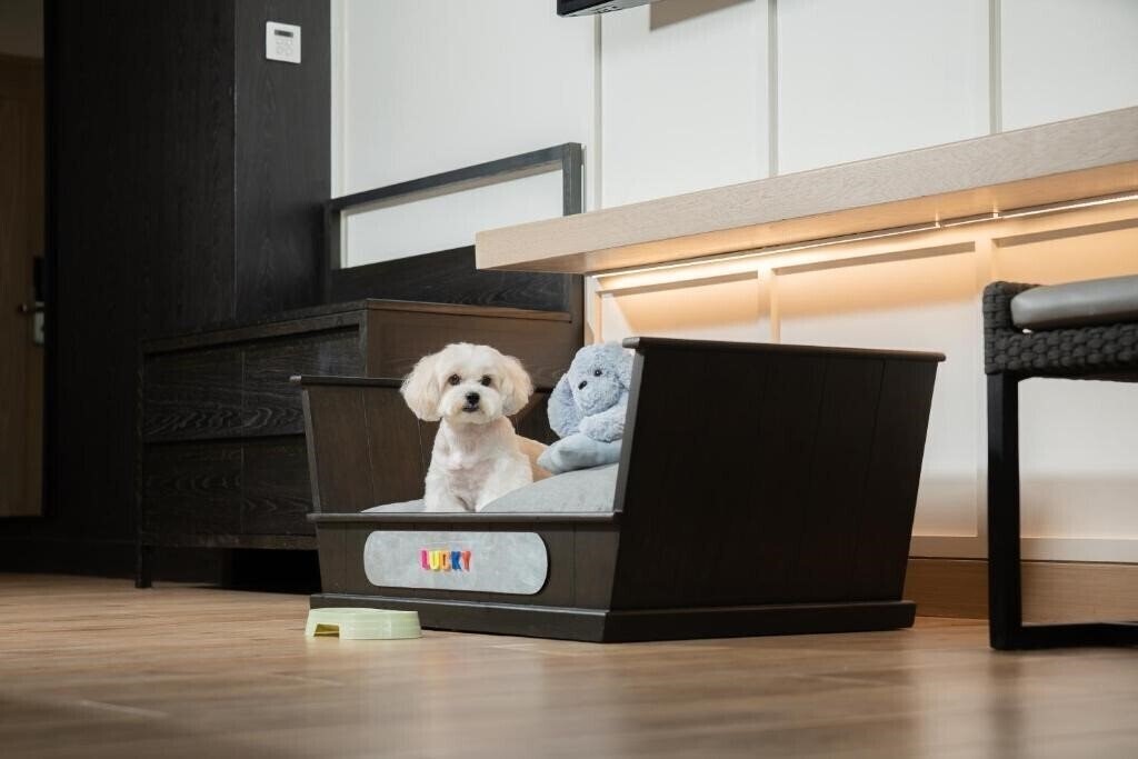 Imaginea Hyatt Regency Hua Hin 5*