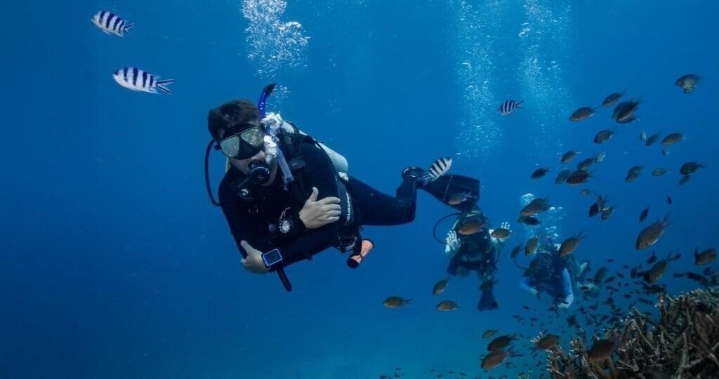 Фотография The Tarna Align Resort 4*