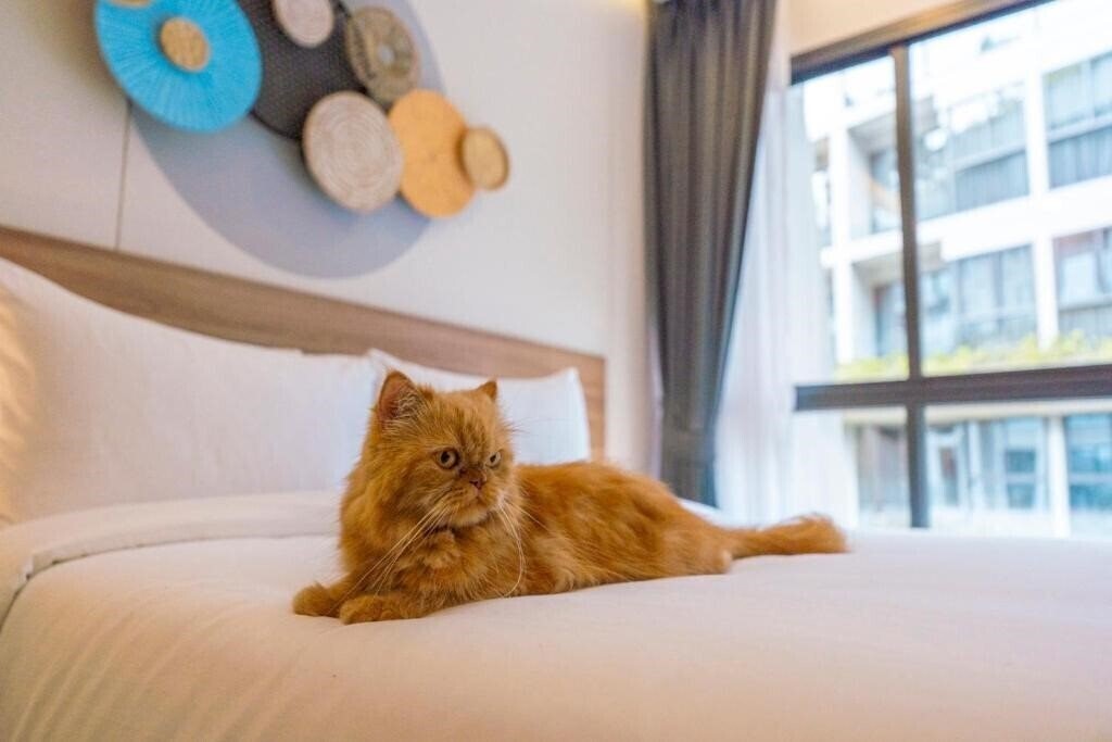 Imaginea Homa Phuket Town 4*