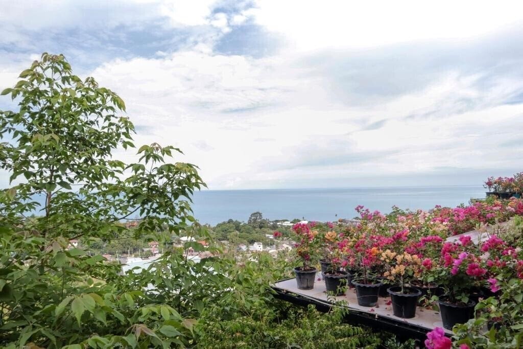 Imaginea Siva Buri Resort 2*