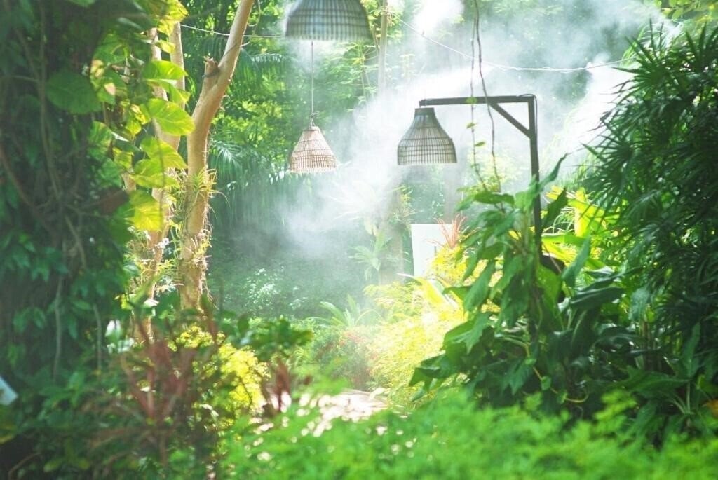 Imaginea Birds & Bees Resort 4*