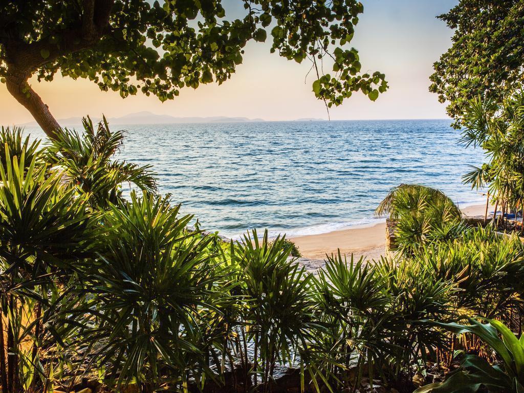 Fotografii The Monttra Pattaya 4*