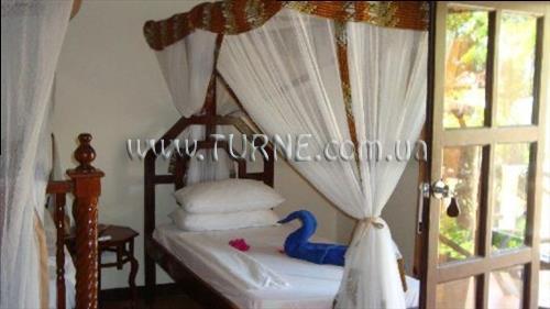 Отель Arabian Nights 3*