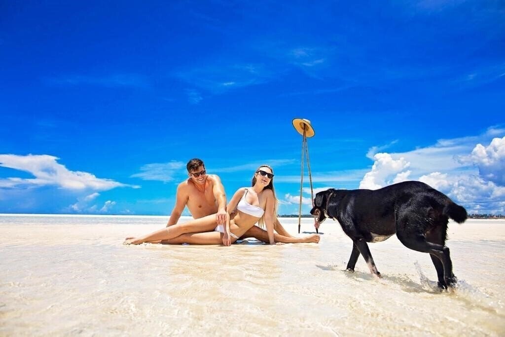 Фотография The Island Pongwe Lodge 4*
