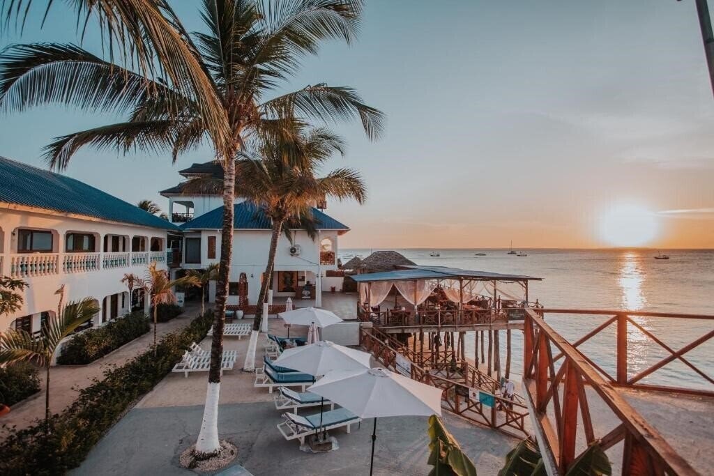 Fotografii Zenobia Beach Resort (Adult Only 18+) 3*