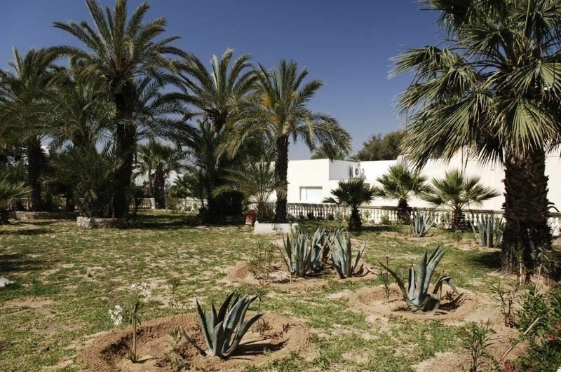 Изображение Dar Jerba Club Marmara 4*