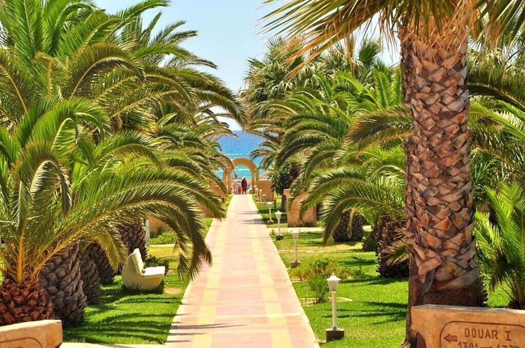 Fotografie Club Novostar Dar Khayam 3*