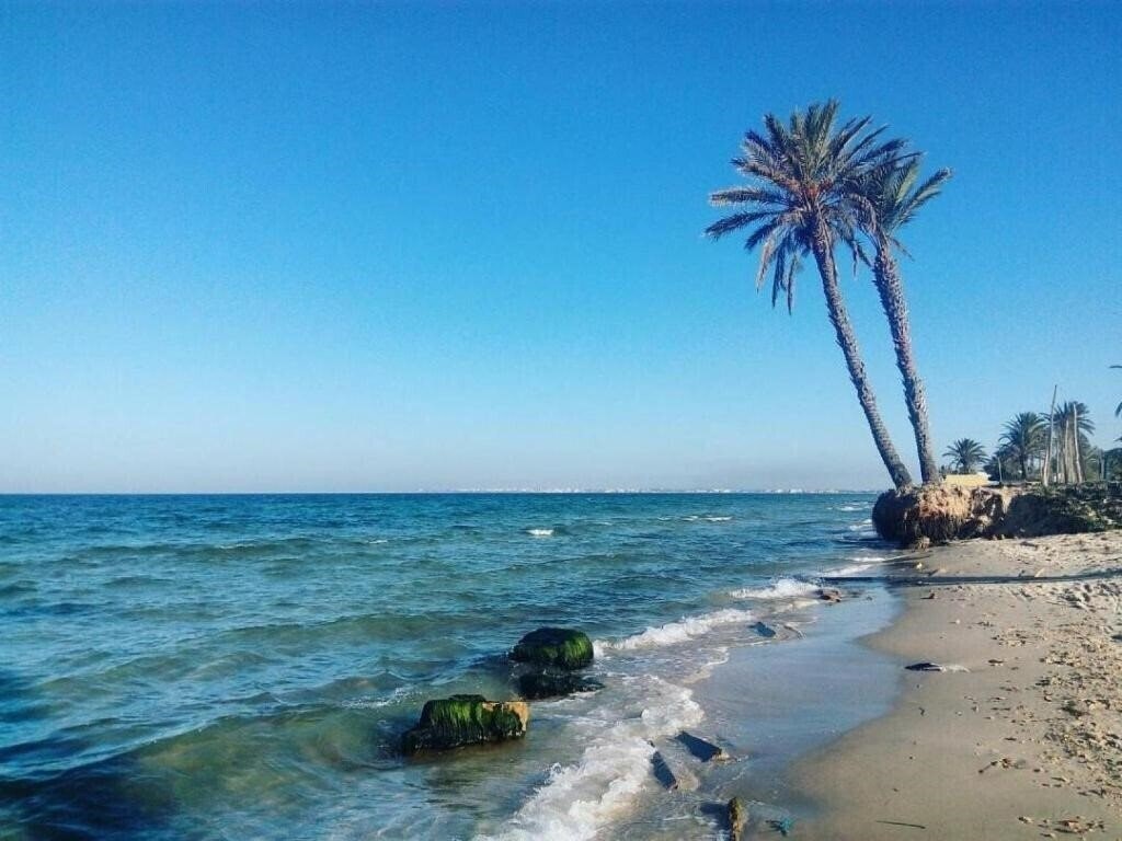 Картинка Chiraz Club 3*