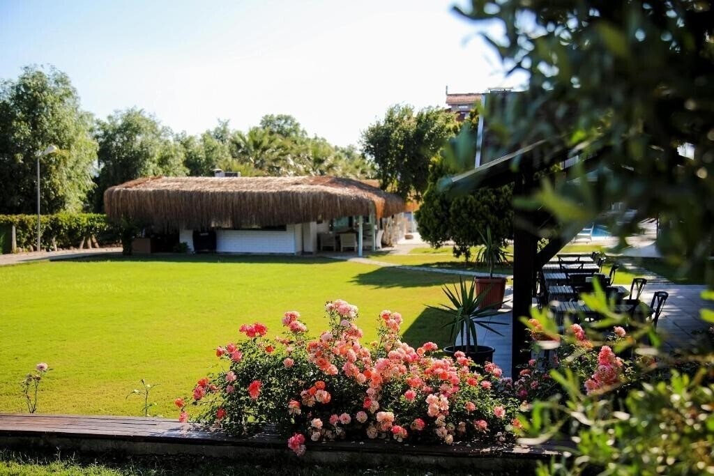 Картинка Suess Alacati 5*