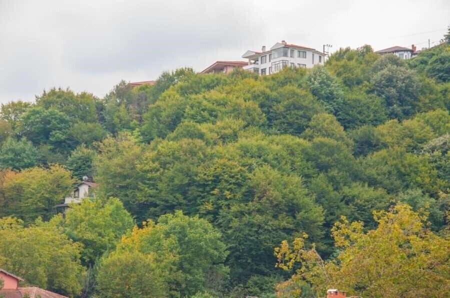 Fotografii Room Room Boutique Hotel Sapanca 3*