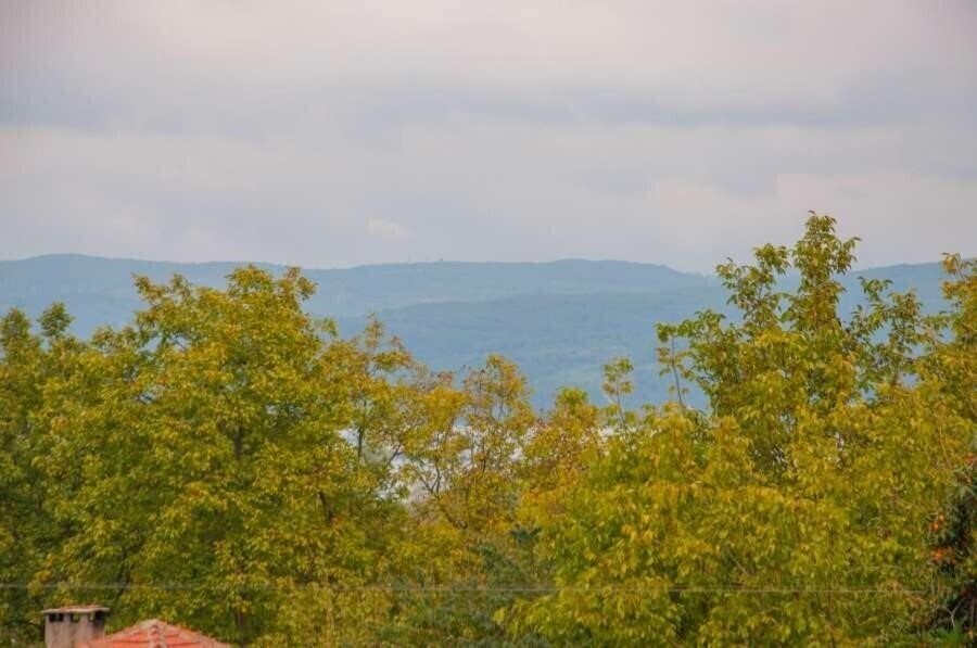 Fotografie Room Room Boutique Hotel Sapanca 3*