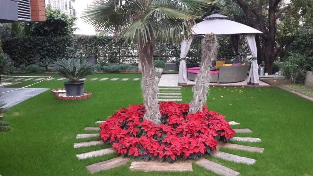 Изображение Bmk Suites & Apartments 3*