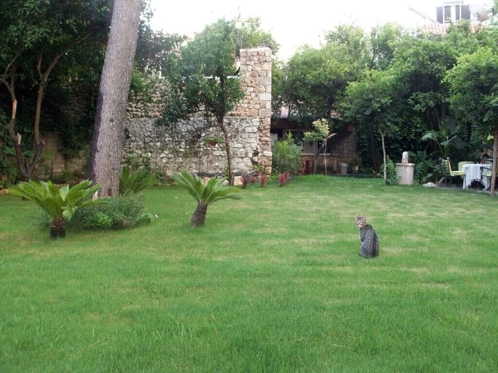 Imaginea The Ninova 3*