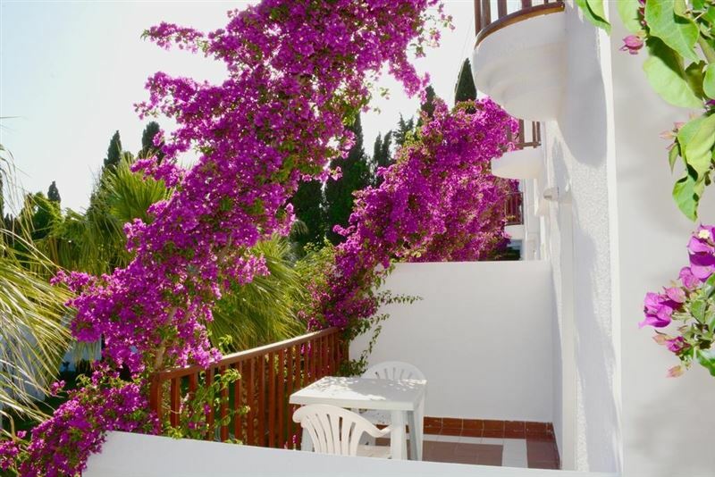 Картинка Natur Garden Hotel 3*