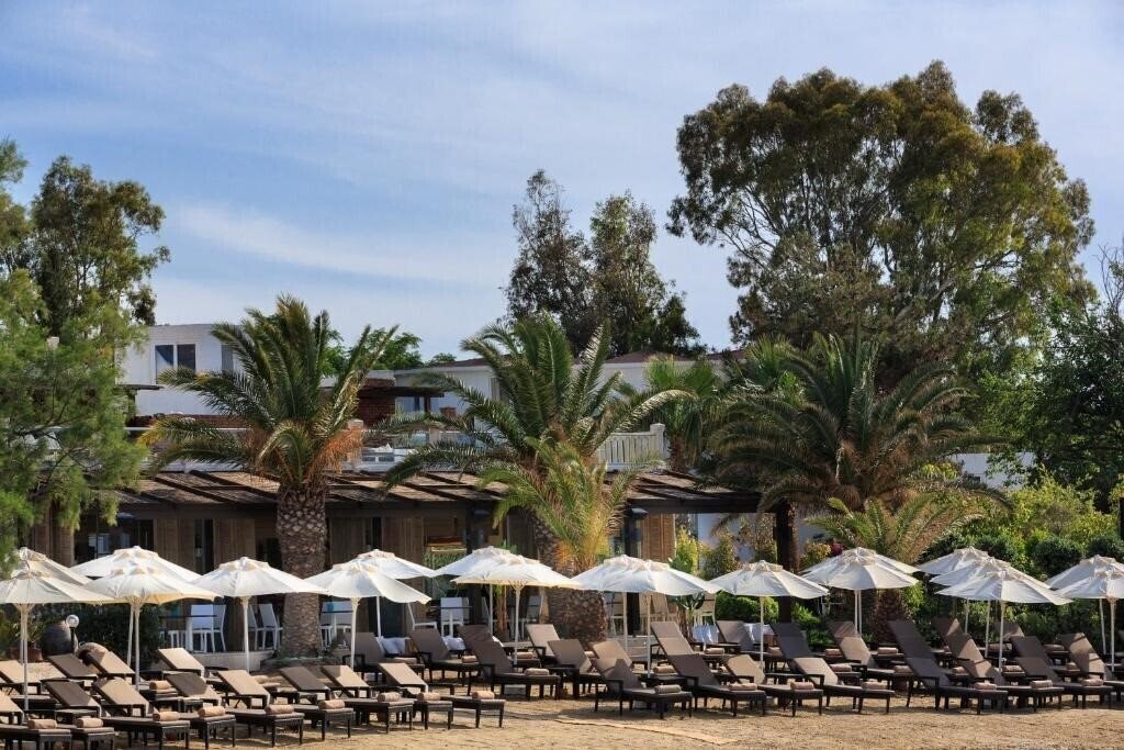 Фотография Princess Artemisia 3*