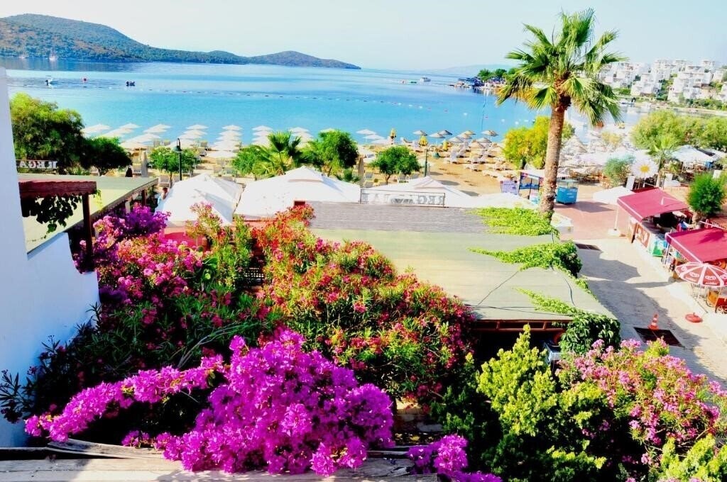 Imaginea Regal Hotel 2*