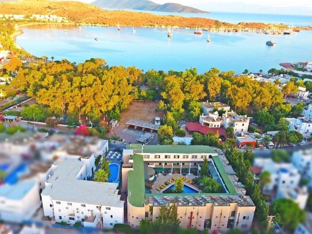 Изображение Hotel Blue Nuit (ex. Skylife Star) 4*
