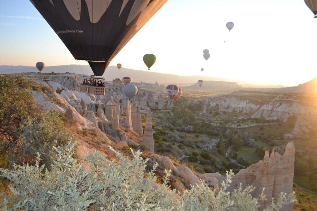 Imaginea Coco Cave 3*