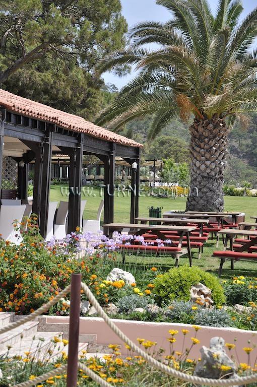 Imaginea Jeans Club Hotels Saphire 5*