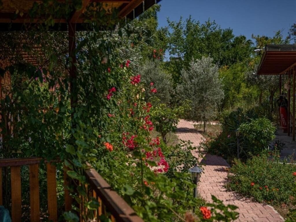 Imaginea Felicity Hotel & Bungalows 3*