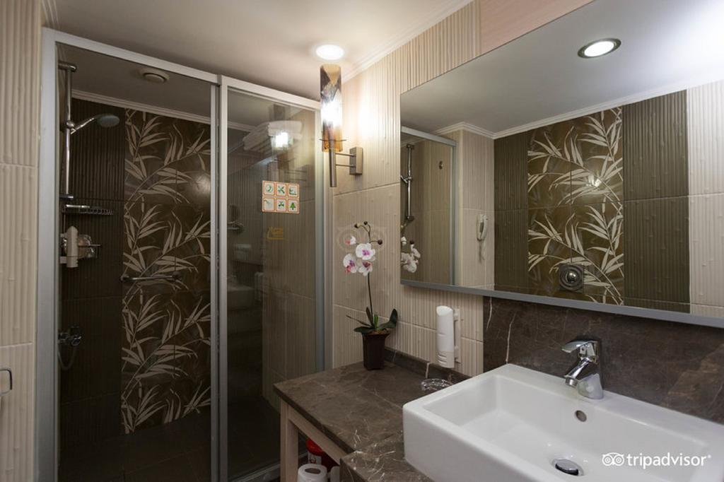 Fotografie Iron Ambassador Hotel (ex. Ambassador Hotels) 4*