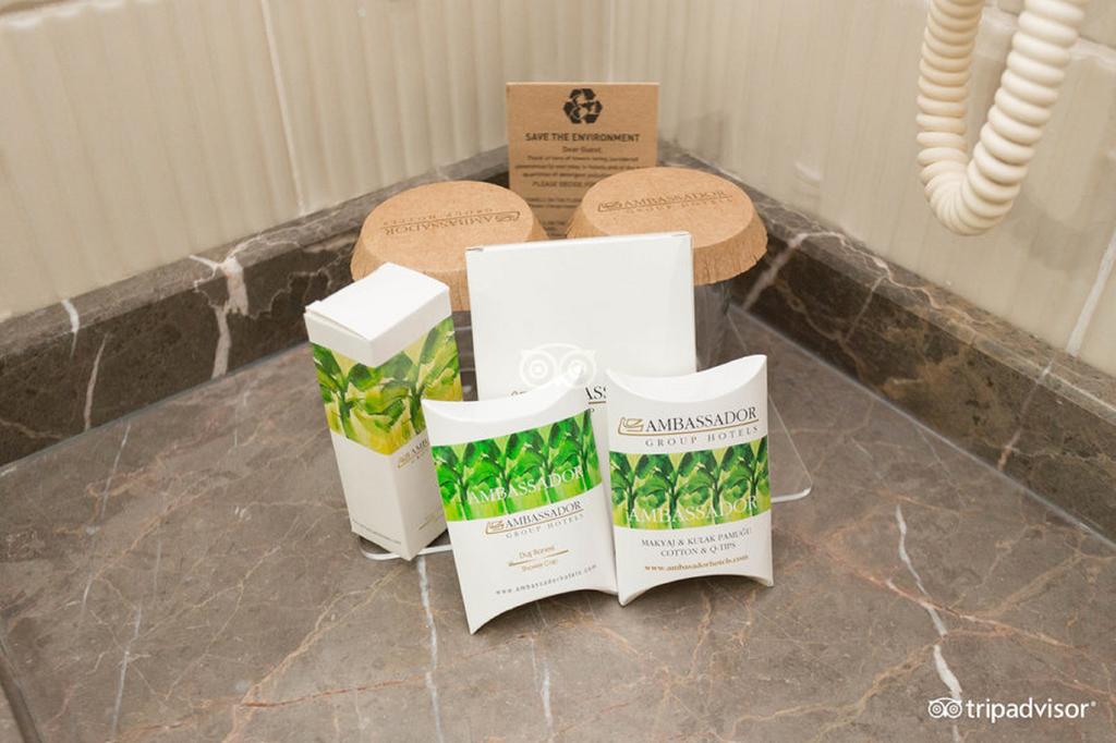 Imaginea Iron Ambassador Hotel (ex. Ambassador Hotels) 4*