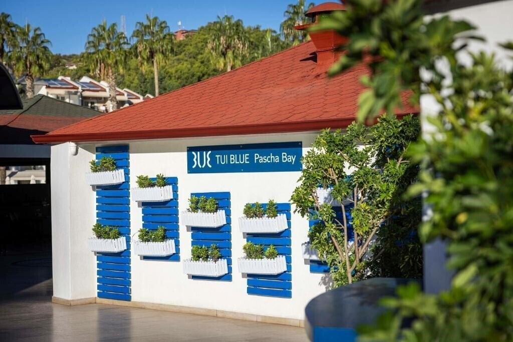 Imaginea Tui Blue Pascha Bay (ex. Marvida Palmeras Pascha Holiday Village) 3*