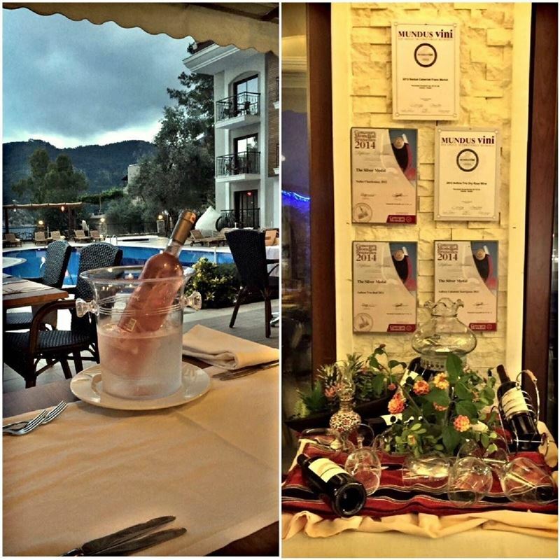 Отель Meril Hotel 4*