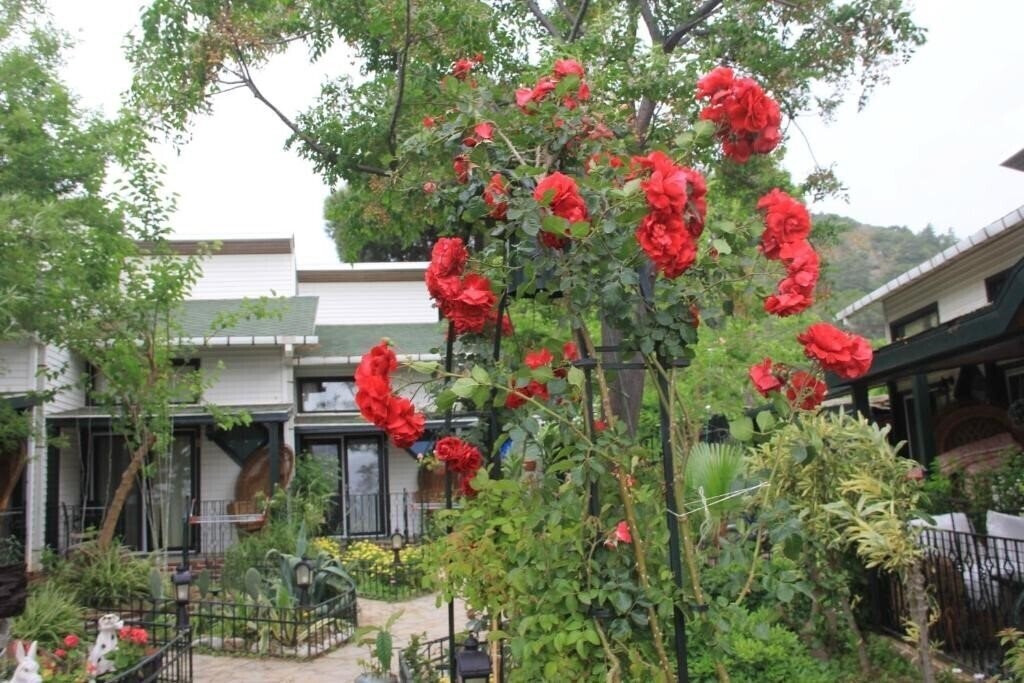 Fotografie Beachwood Villas 3*