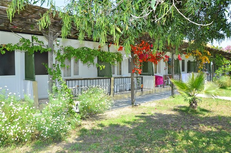 Fotografie Club Serena Beach 4*
