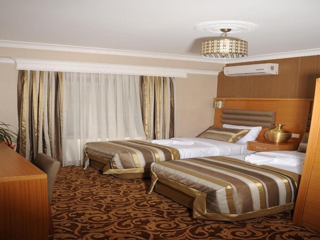 Fotografii Alfa Hotel 3*