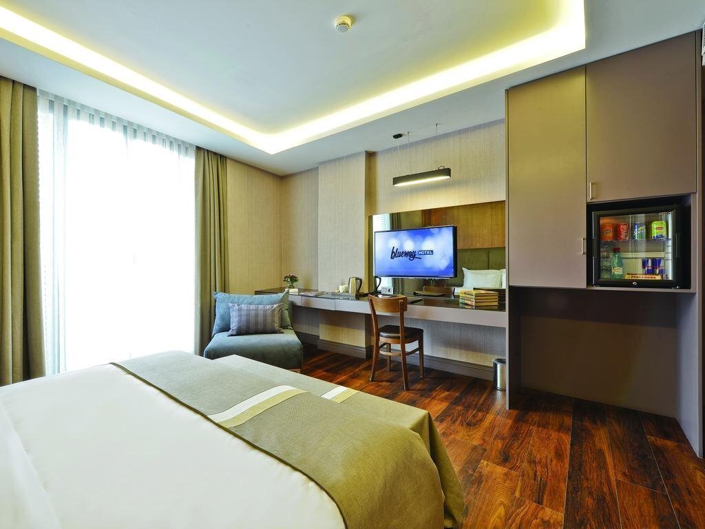 Imaginea Blueway Hotel City 3*