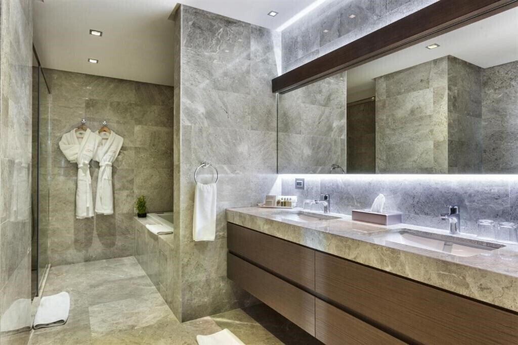 Fotografii Fraser Place Anthill Istanbul 4*